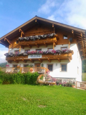 Ferienwohnungen Behamhof Neukirchen Am Großvenediger